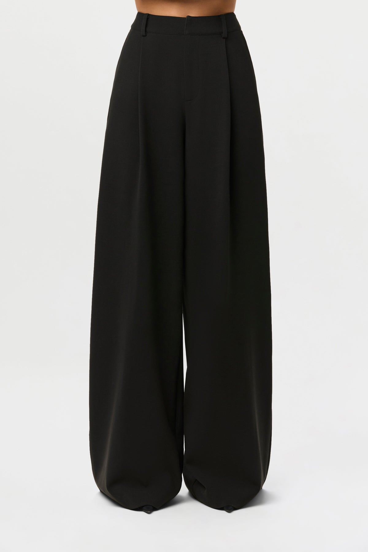 Suiting Wide-Leg Pants