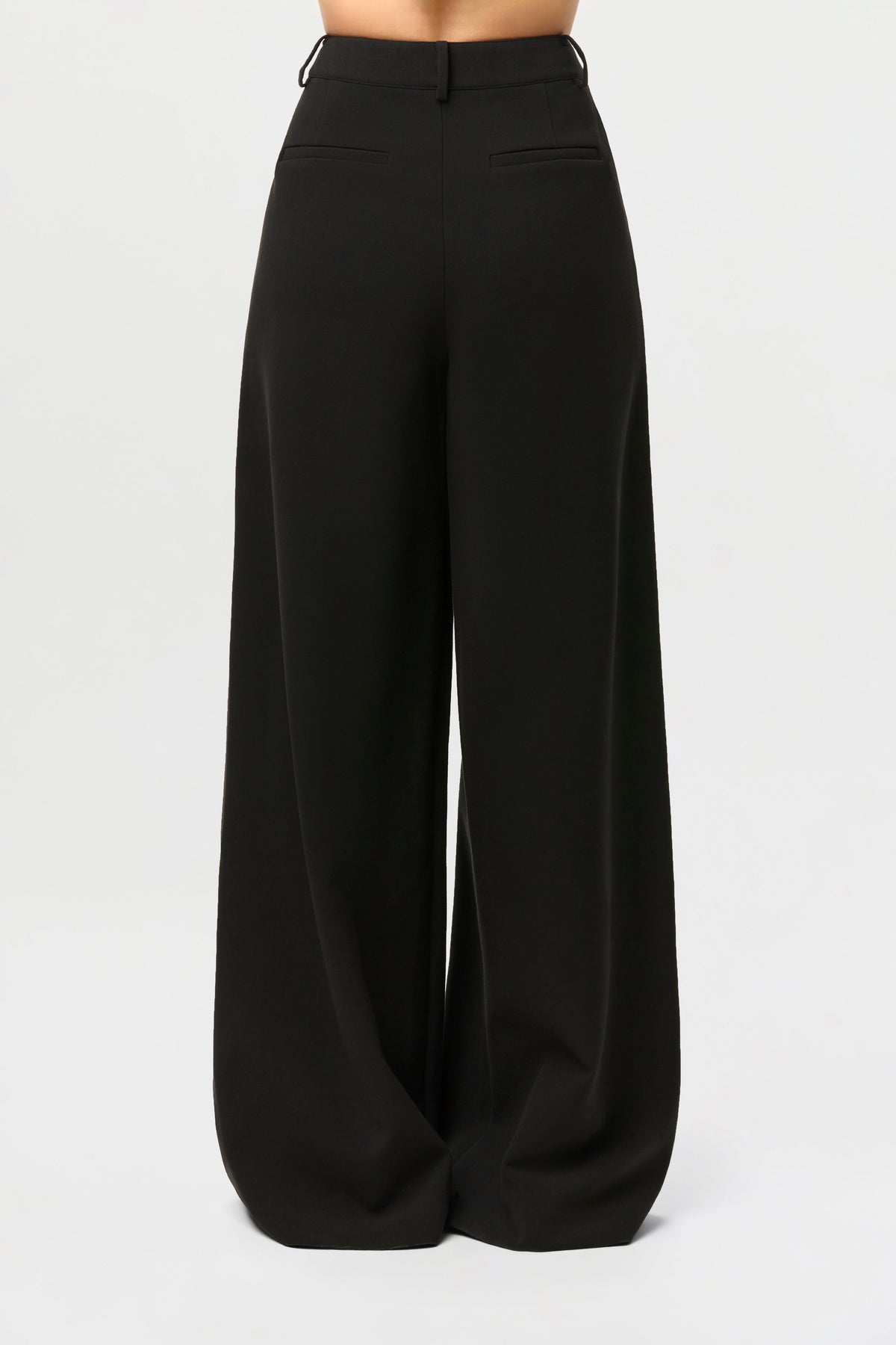 Suiting Wide-Leg Pants